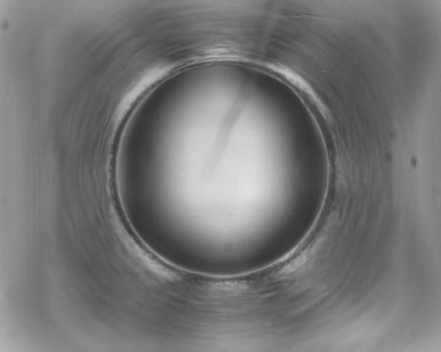 X0000070431333200606121401