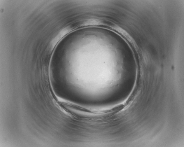 X0000070431337200606121401