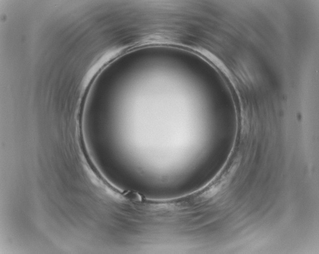 X0000070431341200606121401