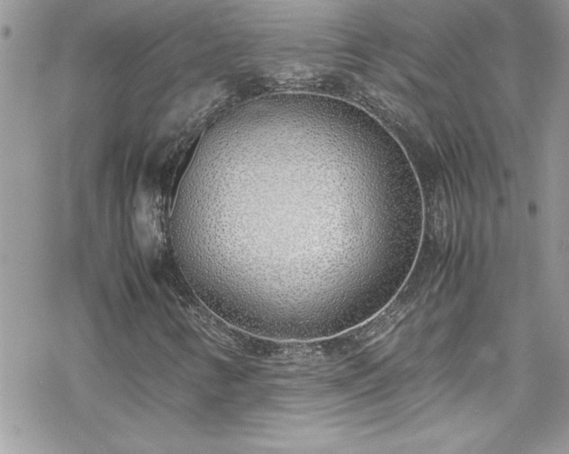 X0000070431346200606121400