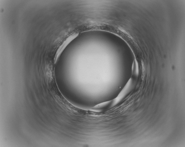 X0000070431348200606121400