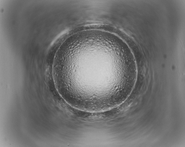 X0000070431351200606121400