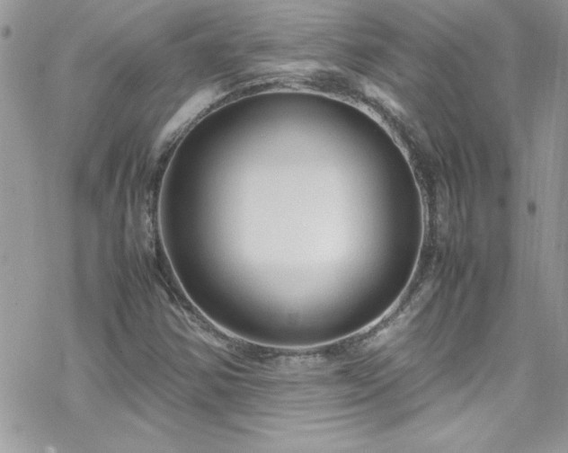 X0000070431354200606121400