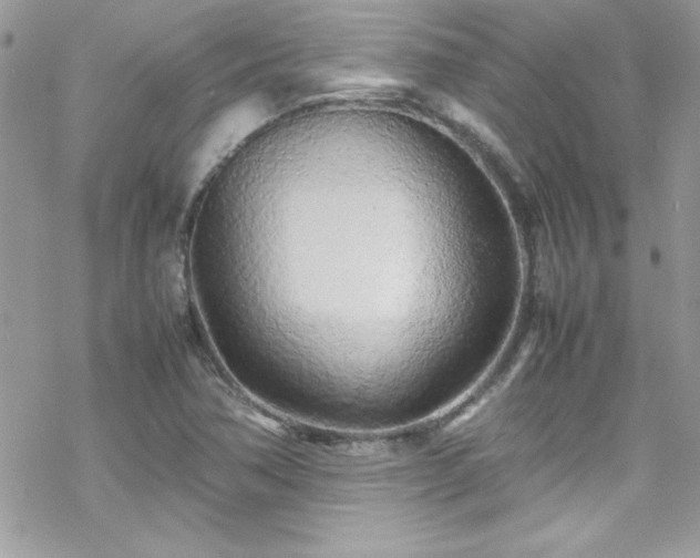 X0000070431362200606121400