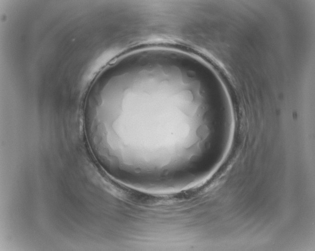 X0000070431367200606121400