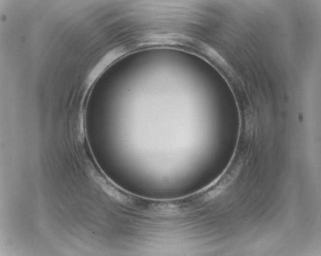 X0000070431370200606121400