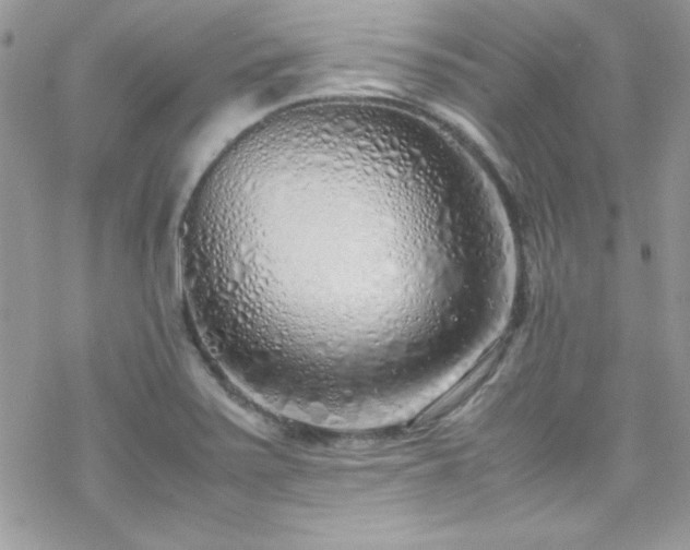 X0000070431371200606121400