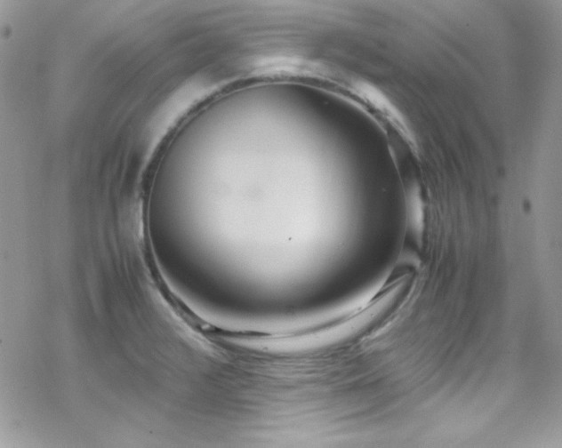 X0000070431376200606121400