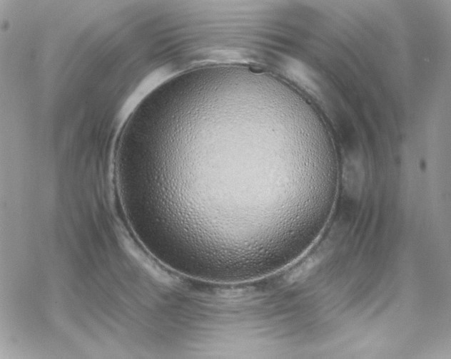 X0000070431378200606121400