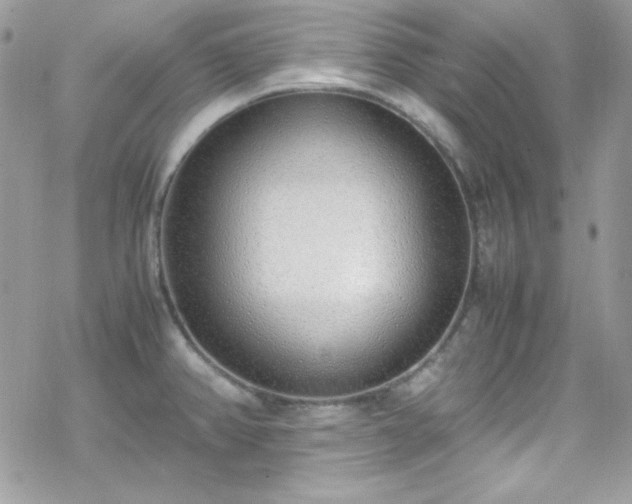 X0000070431382200606121400