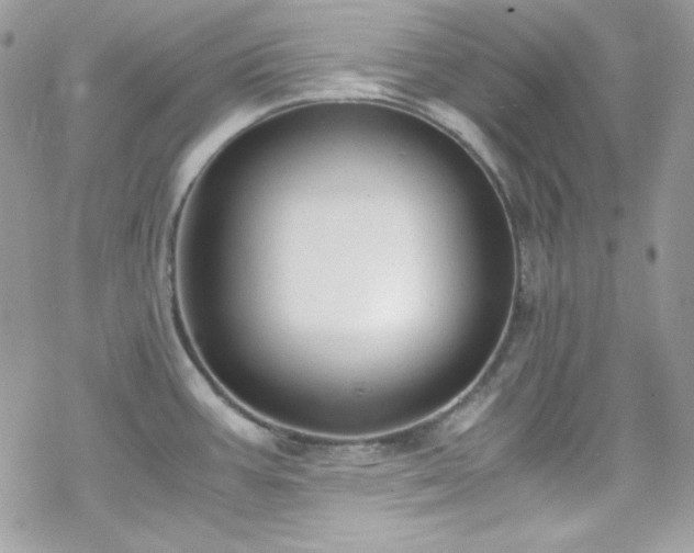 X0000070431387200606121400