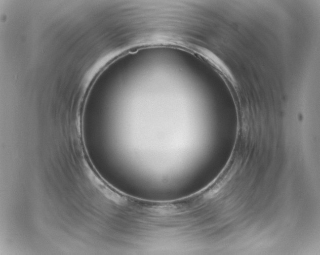 X0000070431388200606121400