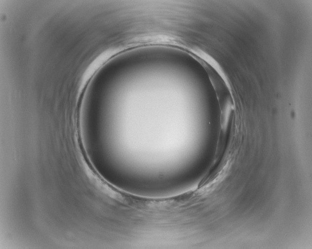 X0000070431389200606121400