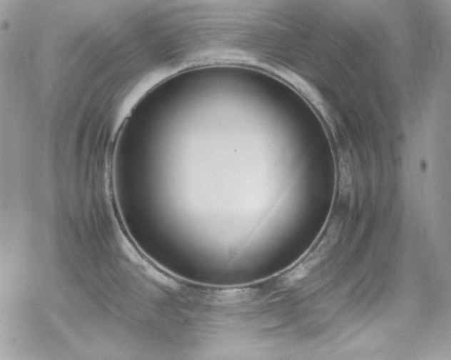 X0000070431390200606121400