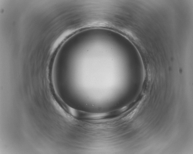 X0000070431422200606121359