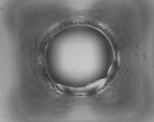 X0000070431445200606121359