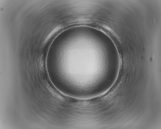 X0000070431450200606121359