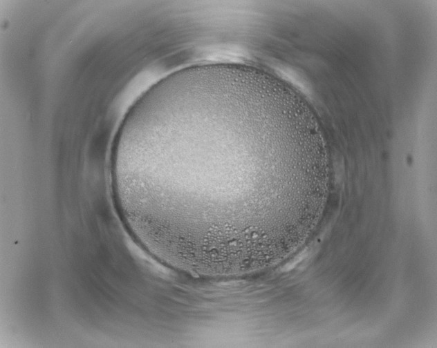 X0000070431471200606121358