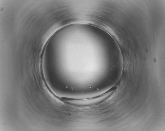 X0000070431484200606121358