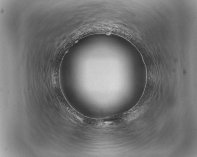 X0000070431490200606121357