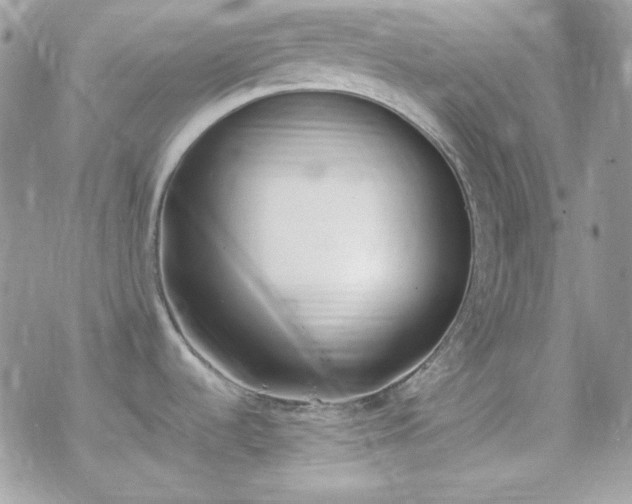 X0000070431536200606121358