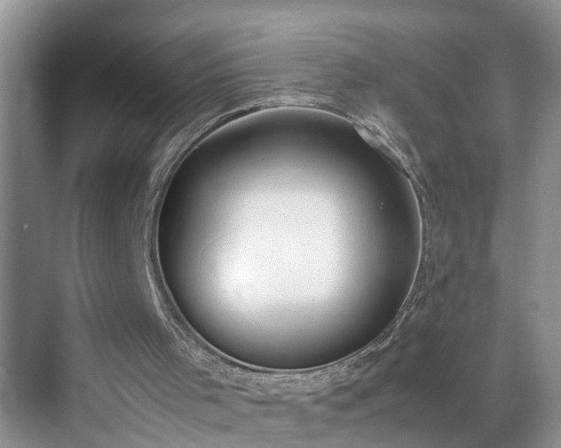 X0000070430001200606161516