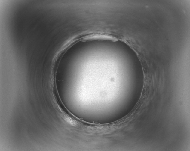 X0000070430005200606161516