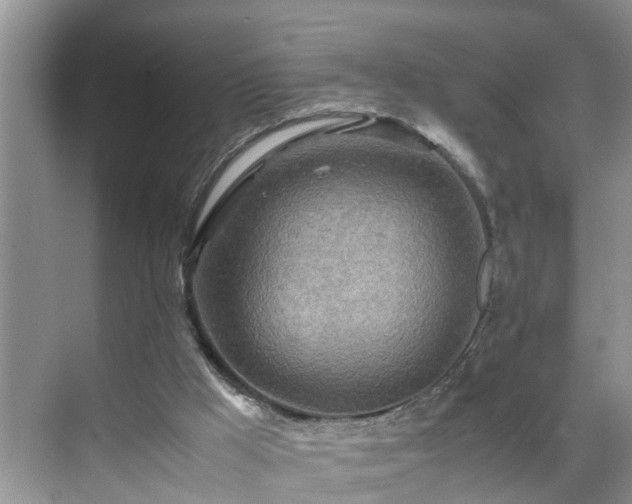 X0000070430009200606161516