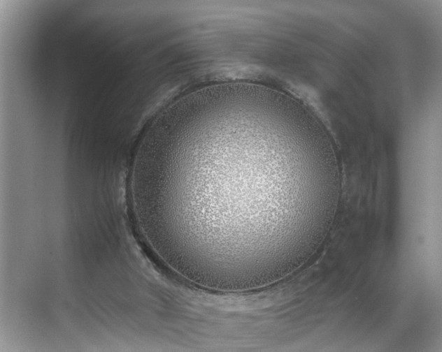 X0000070430010200606161516