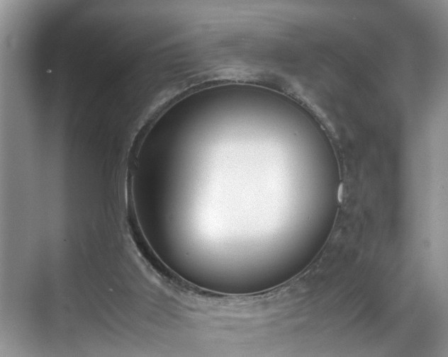 X0000070430011200606161516