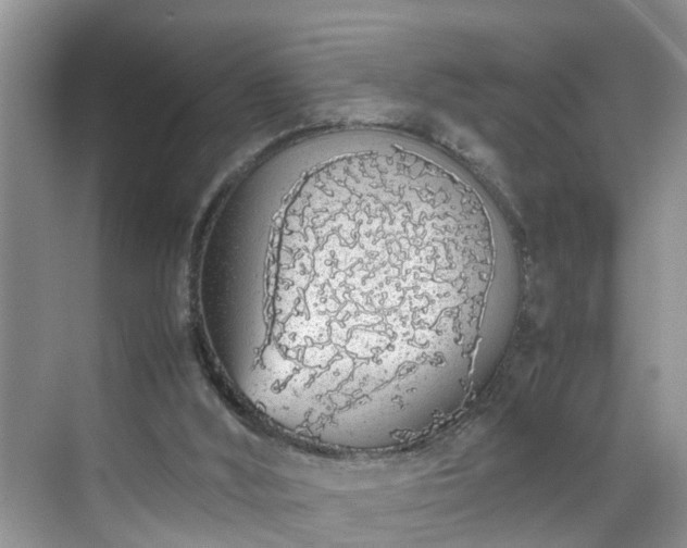 X0000070430012200606161516