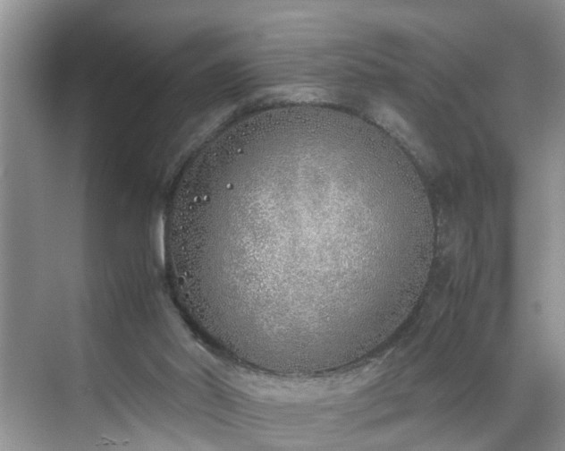 X0000070430014200606161516