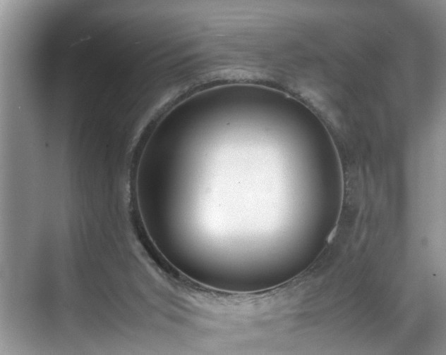 X0000070430015200606161516