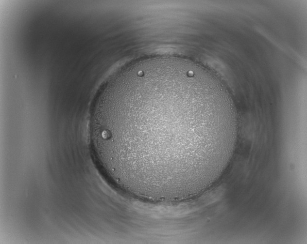 X0000070430016200606161516