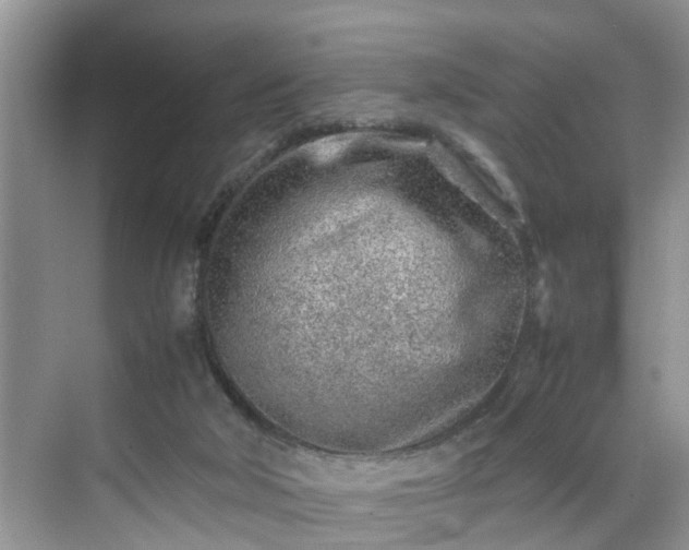 X0000070430018200606161516