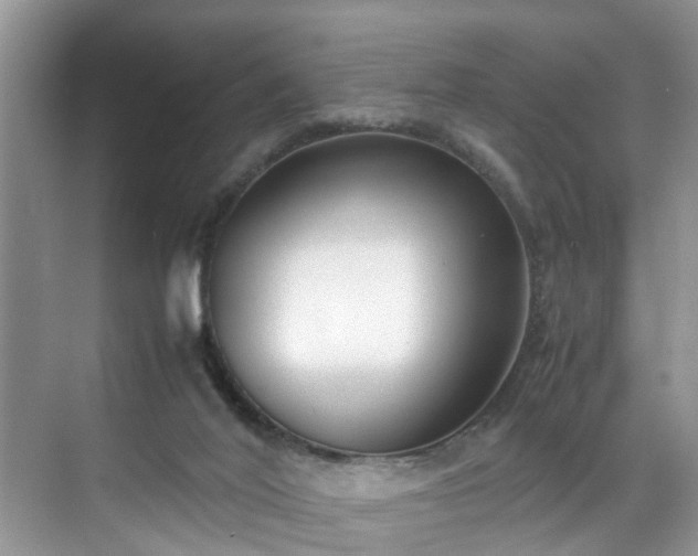 X0000070430020200606161516