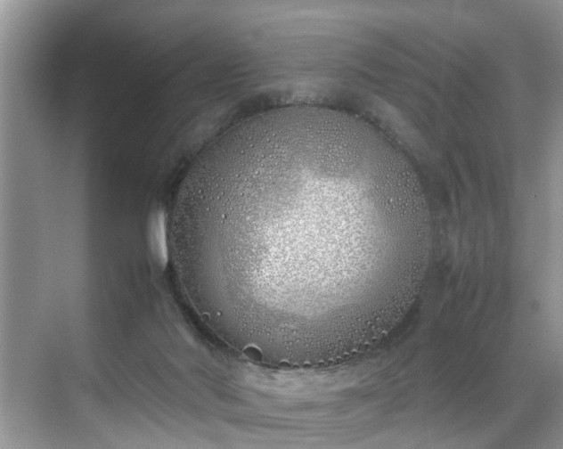 X0000070430022200606161516