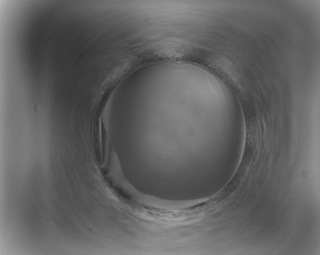 X0000070430023200606161516