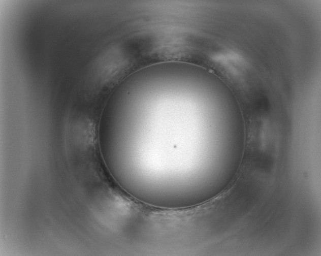 X0000070430025200606161516