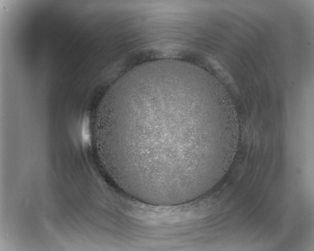 X0000070430026200606161516