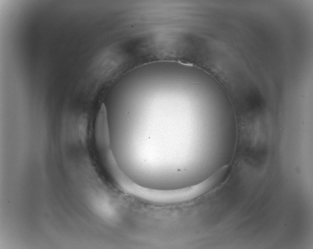 X0000070430029200606161515