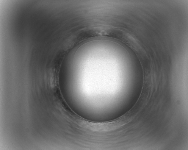 X0000070430030200606161515