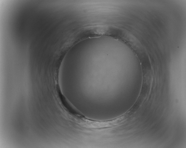 X0000070430031200606161515