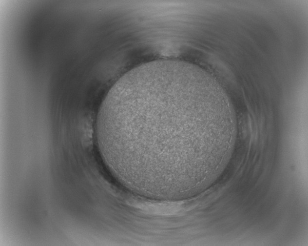 X0000070430032200606161515