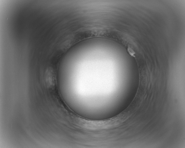 X0000070430034200606161515