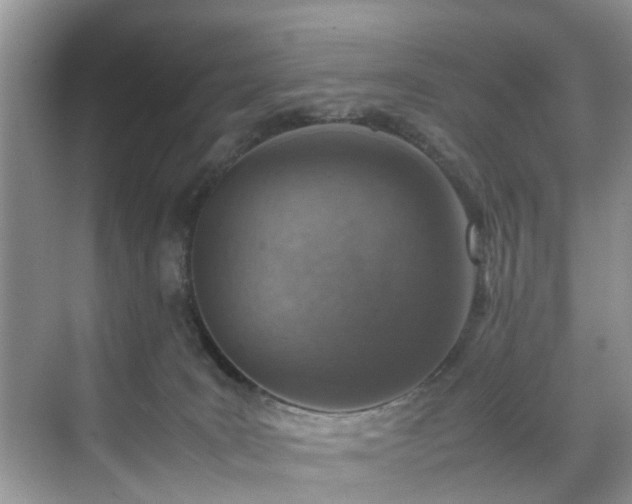 X0000070430035200606161515