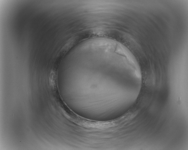 X0000070430036200606161515