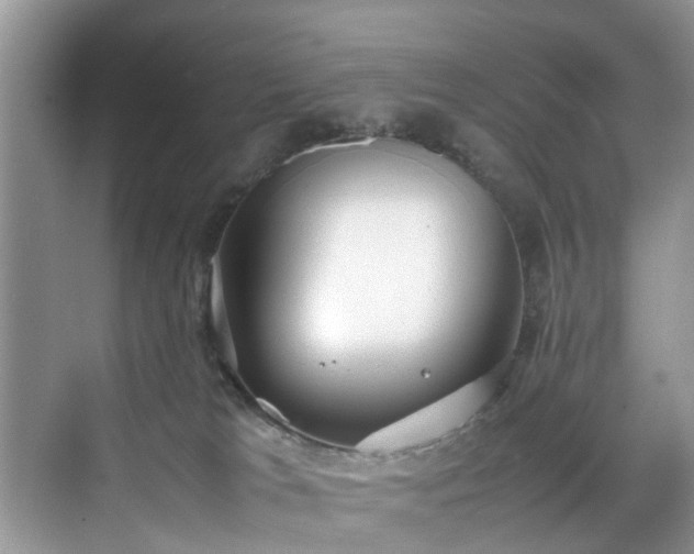 X0000070430037200606161515