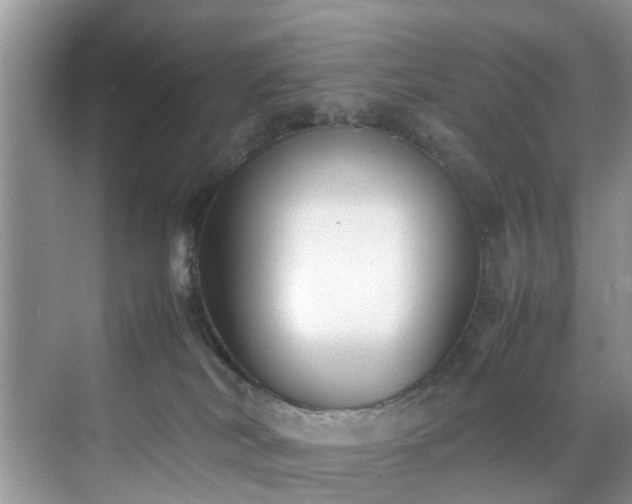 X0000070430038200606161515