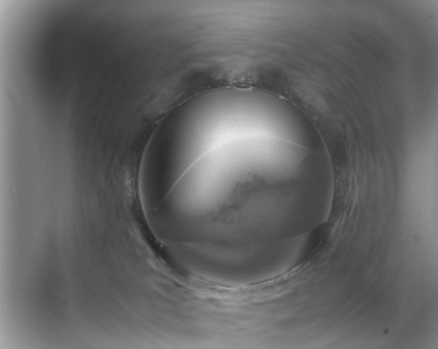 X0000070430039200606161515